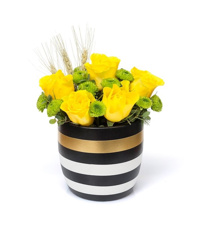 Çizgili Vazoda Sarı Güller Özlüce Çiçekçi En Yakın Çiçekçiniz